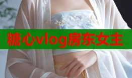 糖心vlog房东女主