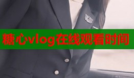 糖心vlog在线观看时间