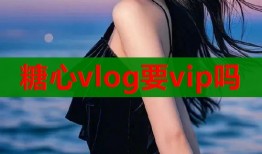 糖心vlog要vip吗