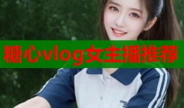 糖心vlog女主播推荐