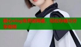 糖心vlog免费版网盘，轻松存储与分享视频