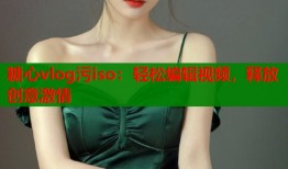 糖心vlog污iso：轻松编辑视频，释放创意激情