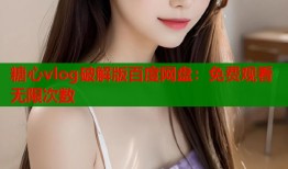 糖心vlog破解版百度网盘：免费观看无限次数