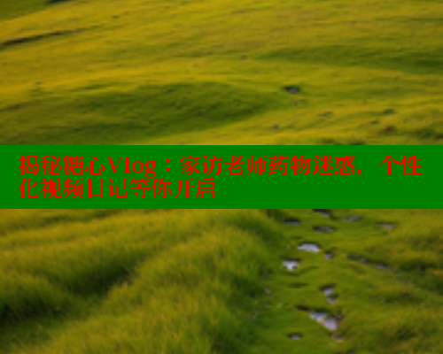 揭秘糖心Vlog：家访老师药物迷惑，个性化视频日记等你开启