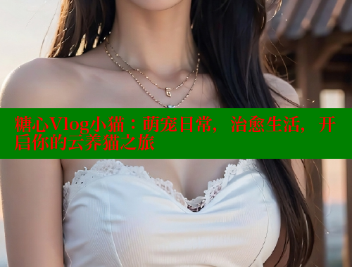 糖心Vlog小猫：萌宠日常，治愈生活，开启你的云养猫之旅