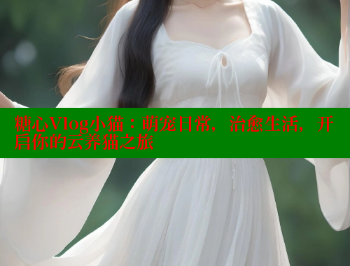 糖心Vlog小猫：萌宠日常，治愈生活，开启你的云养猫之旅