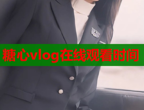 糖心vlog在线观看时间