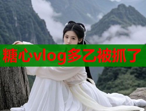糖心vlog多乙被抓了