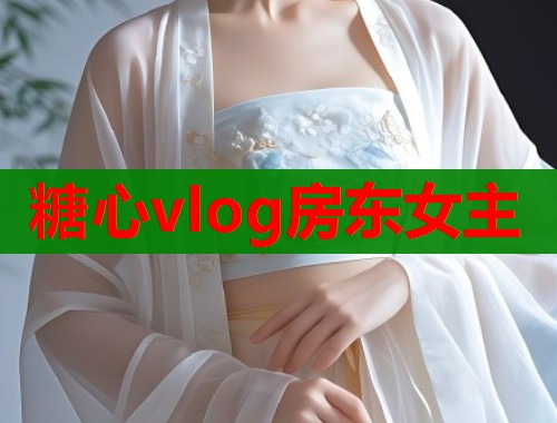糖心vlog房东女主