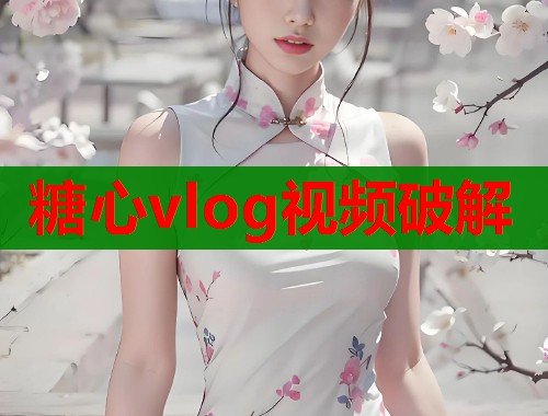 糖心vlog视频破解