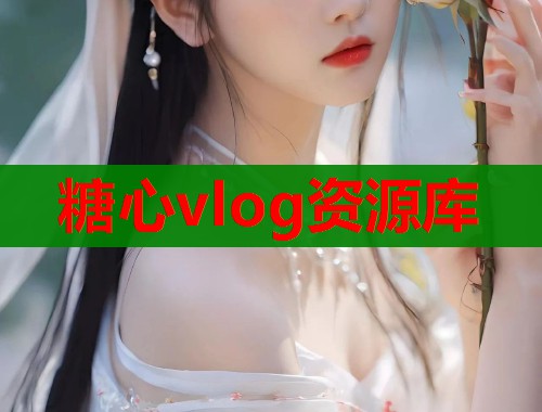 糖心vlog资源库