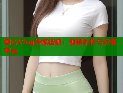 糖心Vlog传媒被抓：视频创作与分享平台