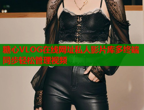 糖心VLOG在线网址私人影片库多终端同步轻松管理视频